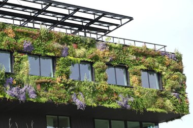 Almere, Hollanda - 17 Haziran 2022: şehrin yaşamasına izin verin. Yüksek kalite fotoğraf