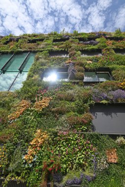 Almere, Hollanda - 17 Haziran 2022: şehrin yaşamasına izin verin. Yüksek kalite fotoğraf