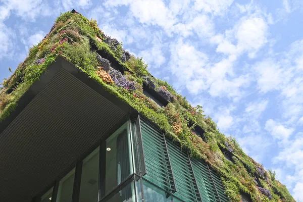 Almere, Hollanda - 17 Haziran 2022: şehrin yaşamasına izin verin. Yüksek kalite fotoğraf