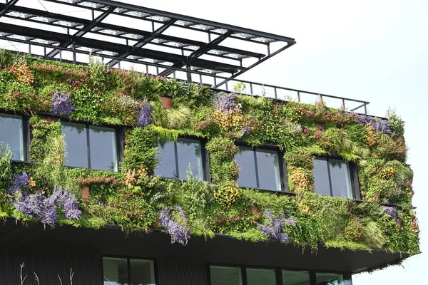 Almere, Hollanda - 17 Haziran 2022: şehrin yaşamasına izin verin. Yüksek kalite fotoğraf