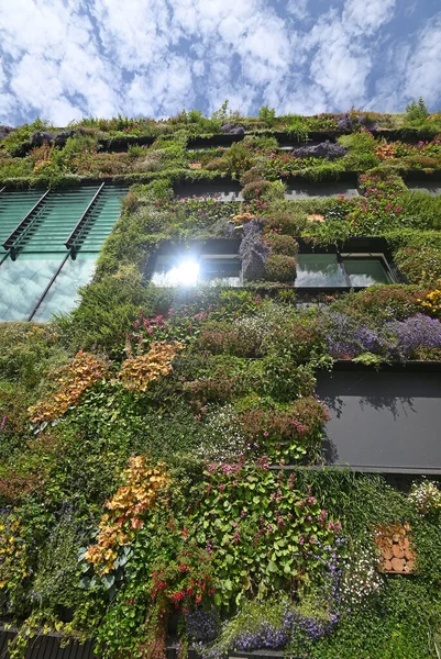 Almere, Hollanda - 17 Haziran 2022: şehrin yaşamasına izin verin. Yüksek kalite fotoğraf