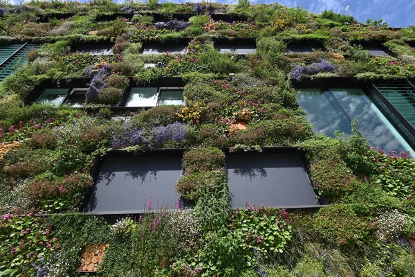 Almere, Hollanda - 17 Haziran 2022: şehrin yaşamasına izin verin. Yüksek kalite fotoğraf