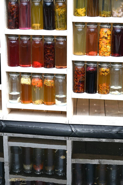 Арт-объект "Тень природы"