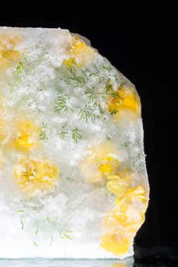 Buzdaki nergisler ve nergisler. Yüksek kalite fotoğraf