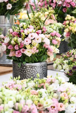 Lysianthus russellianum karışık mavi, pembe, kırmızı ve somon. Yüksek kalite fotoğraf