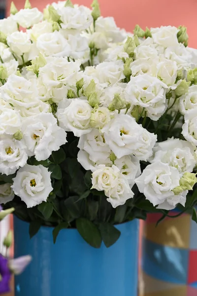 Lysianthus Russellianum Çiçekleri Mavi Kovada Beyaz Yüksek Kalite Fotoğraf — Stok fotoğraf