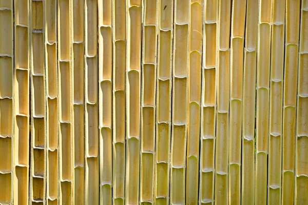 Uma Bela Cerca Bambu Natural Jardim Foto Alta Qualidade — Fotografia de Stock