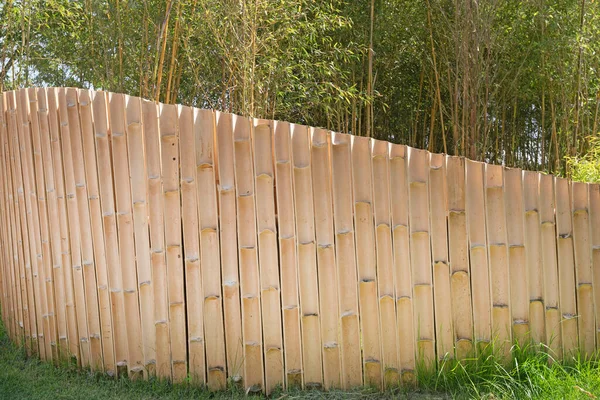 Een Prachtige Natuurlijke Bamboe Omheining Een Tuin Hoge Kwaliteit Foto — Stockfoto