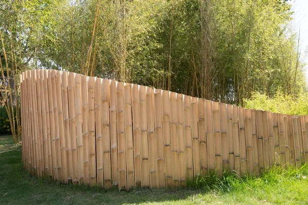 Красивый Природный Бамбуковый Забор Саду Высокое Качество Фото — стоковое фото
