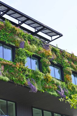 Almere, Hollanda - 17 Haziran 2022: şehrin yaşamasına izin verin. Yüksek kalite fotoğraf