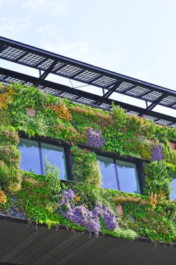 Almere, Hollanda - 17 Haziran 2022: şehrin yaşamasına izin verin. Yüksek kalite fotoğraf