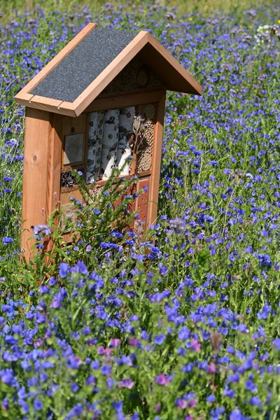 Maison Spéciale Pour Insectes Utiles Jardin Construite Matériaux Naturels Crée — Photo