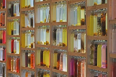 Sanat eseri, doğanın gölgeleri. Yüksek kalite fotoğraf