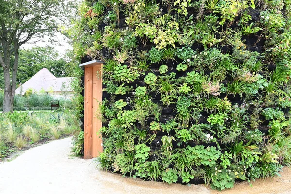 Green wall, eco friendly vertical garden . High quality photo