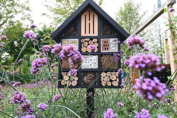 Maison Insectes Décorative Avec Compartiments Composants Naturels Dans Jardin Été Images De Stock Libres De Droits