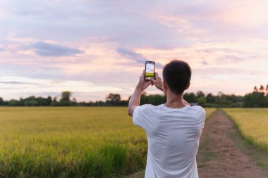 Turist gün batımında cep telefonuyla pirinç tarlasının fotoğrafını çekiyor..