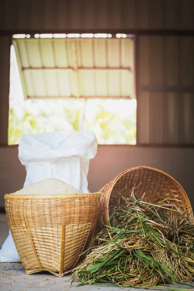 Arroz de jazmín crudo orgánico tailandés en cesta de bambú. — Foto de Stock