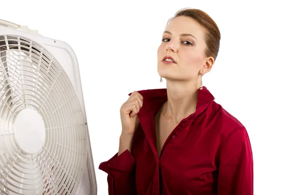 Interesu cooling-off z wentylatorem — Zdjęcie stockowe