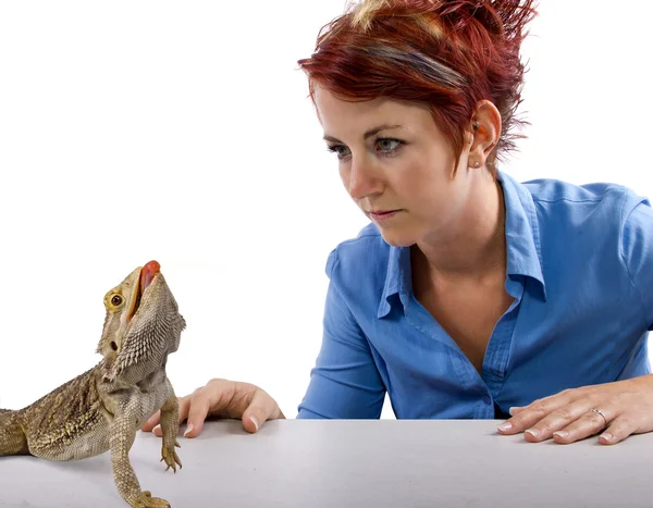 Chica mirando a Spikey Barbudo dragón reptil — Foto de Stock