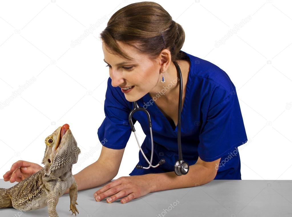 Reptile veterinarian