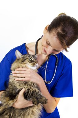 büyük bir kedi ile kadın veteriner