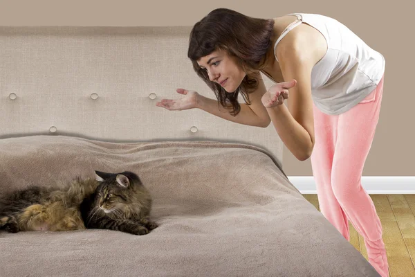 Cat is on a teenage girl's bed — Stock Photo, Image