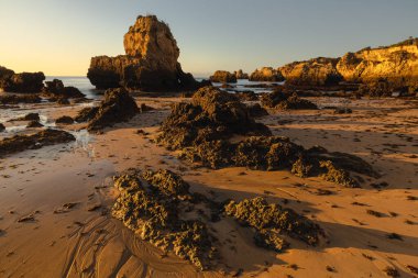 Plaj Praia De Boiao 'da altın ışıkla sallanıyor.