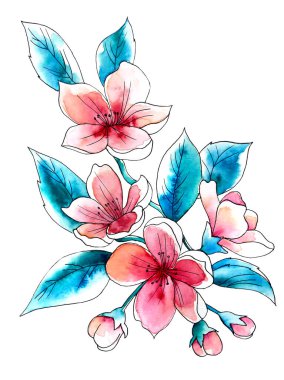 Watercolor Bouquet of flowers, isolated, white background, red roses and blue leaves