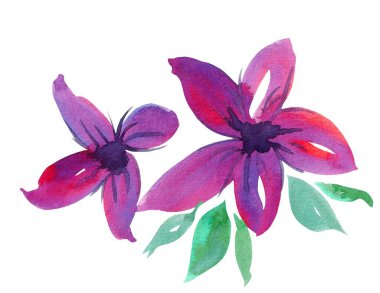 Watercolor Bouquet of flowers, isolated, white background, pink roses and green leaves