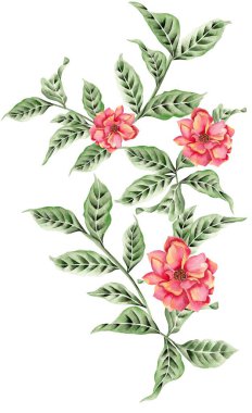 Watercolor Bouquet of flowers, isolated, white background, red roses and green leaves