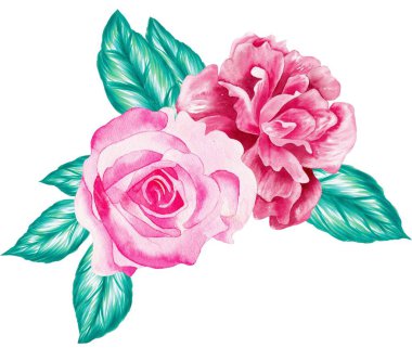 Watercolor Bouquet of flowers, isolated, white background, pink roses and green leaves