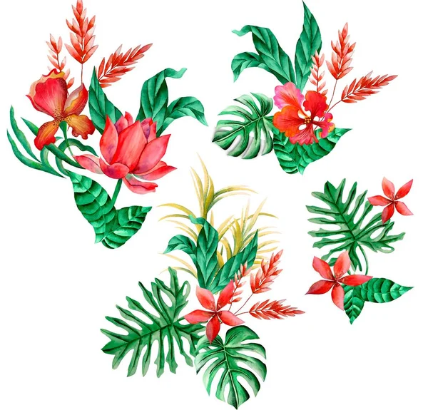 Watercolor Bouquet of tropical flowers, isolated, white background, red flowers and green leaves