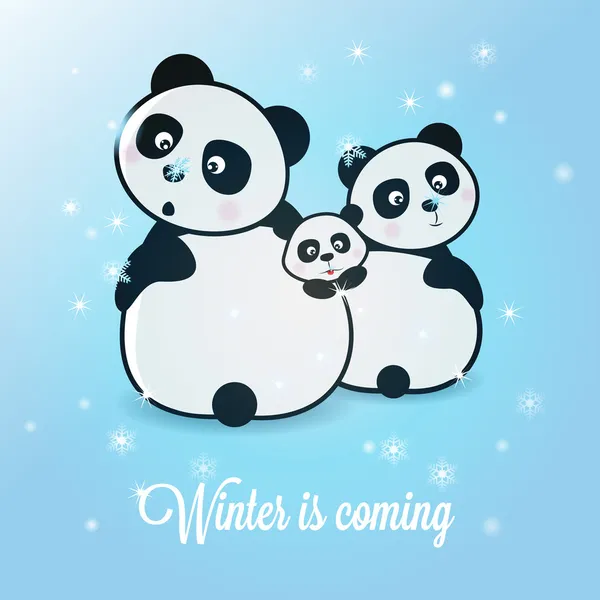 Winter panda — Stock Vector