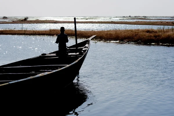 Nijer Nehri pirogue balıkçılar.