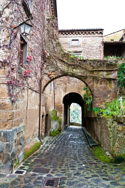 Callejón en "Civita di Bagnoregio", Italia . Fotos De Stock Sin Royalties Gratis