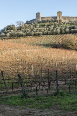 monteriggioni, Toskana, İtalya yakın kışın üzüm bağları