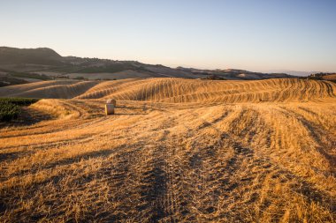 saman balya ve haddeleme manzara, gün batımı, Toskana, İtalya