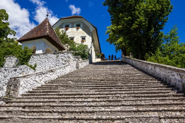 Escalera empinada de piedra en Bled Island, Lago Bled, Eslovenia . —  Fotos de Stock