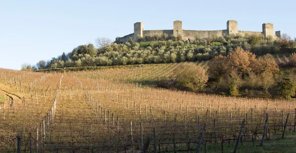 Wijngaarden in de winter dicht bij monteriggioni, Toscane, Italië — Stockfoto