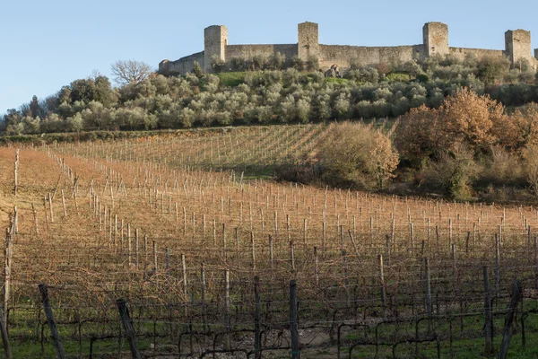 Wijngaarden in de winter dicht bij monteriggioni, Toscane, Italië — Stockfoto