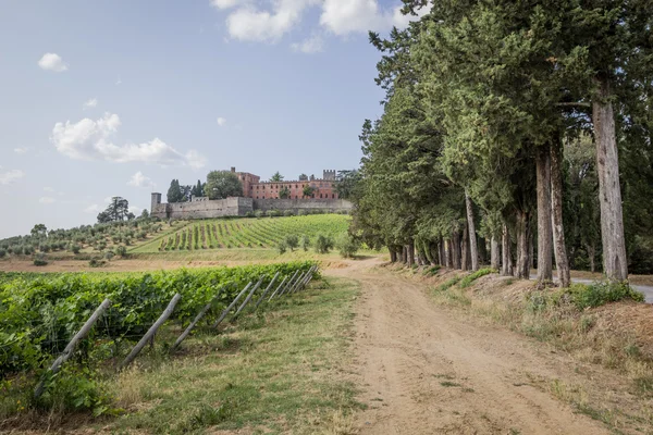 Brolio slott och de närliggande vingårdarna — Stockfoto