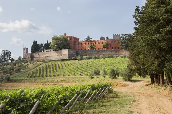 Brolio slott och de närliggande vingårdarna — Stockfoto