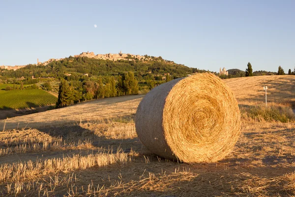 Bale of hay, in the background Montepulciano — Stock Photo, Image