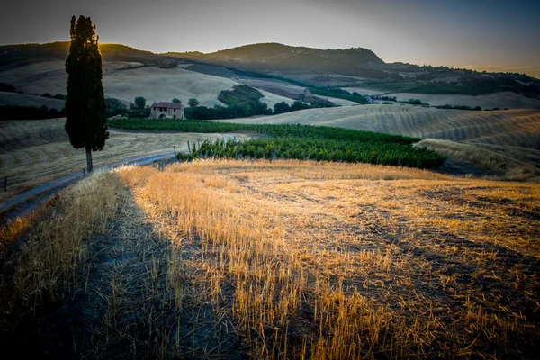 Apus de soare pe dealurile toscane — Fotografie, imagine de stoc