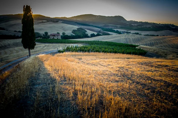 Zonsondergang op de Toscaanse heuvels — Stockfoto