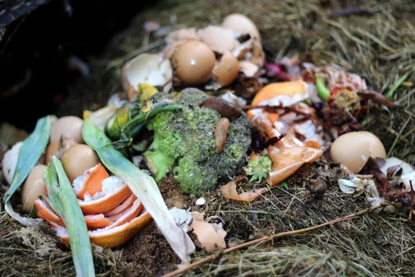 Compost — Stock Photo, Image