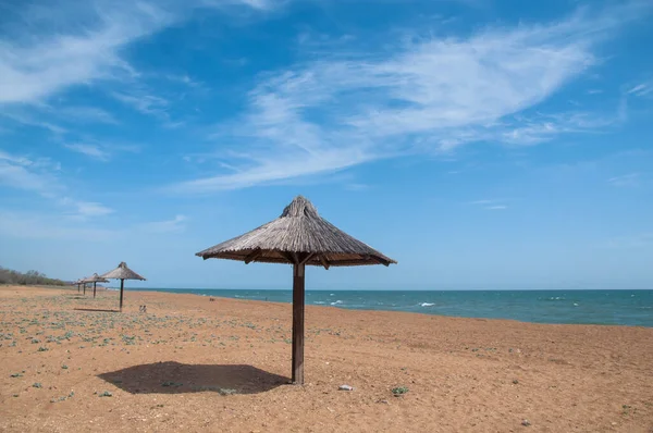 Sabah erken saatlerde Rusya 'nın Dağıstan Cumhuriyeti' nin Makhachkala kenti yakınlarındaki Hazar Denizi kıyısında.