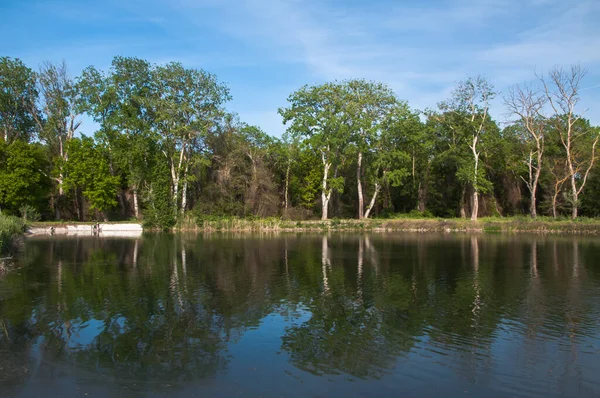 Dağıstan Cumhuriyeti 'nin güneyindeki ünlü astropikal orman Samur' u. Antik 800 'ler. Burada çınar ağacı yetişiyor.