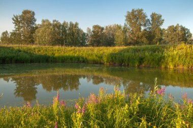 Rusya 'nın Samara bölgesinde küçük bir nehirde güzel bir gün batımıyla karşılaşmak