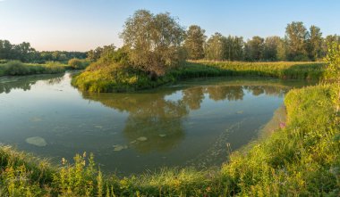 Rusya 'nın Samara bölgesinde küçük bir nehirde güzel bir gün batımıyla karşılaşmak